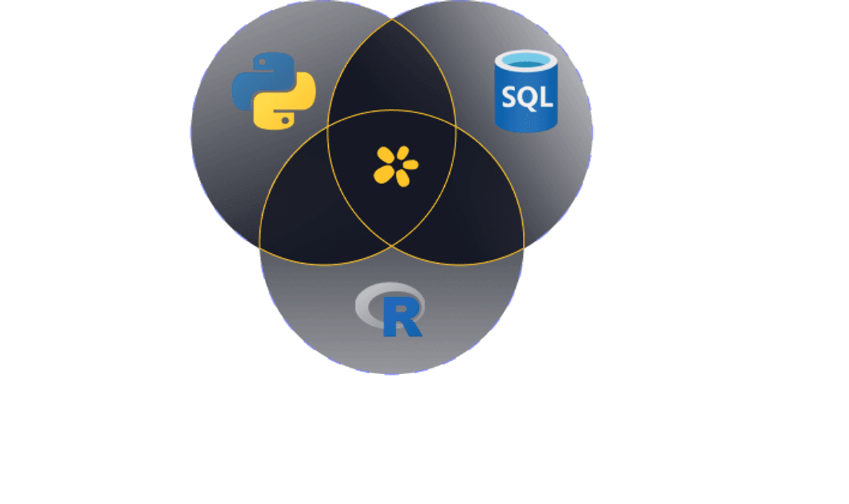 Zerve Announces Powerful R Integration: Seamless Interoperability with Python and SQL